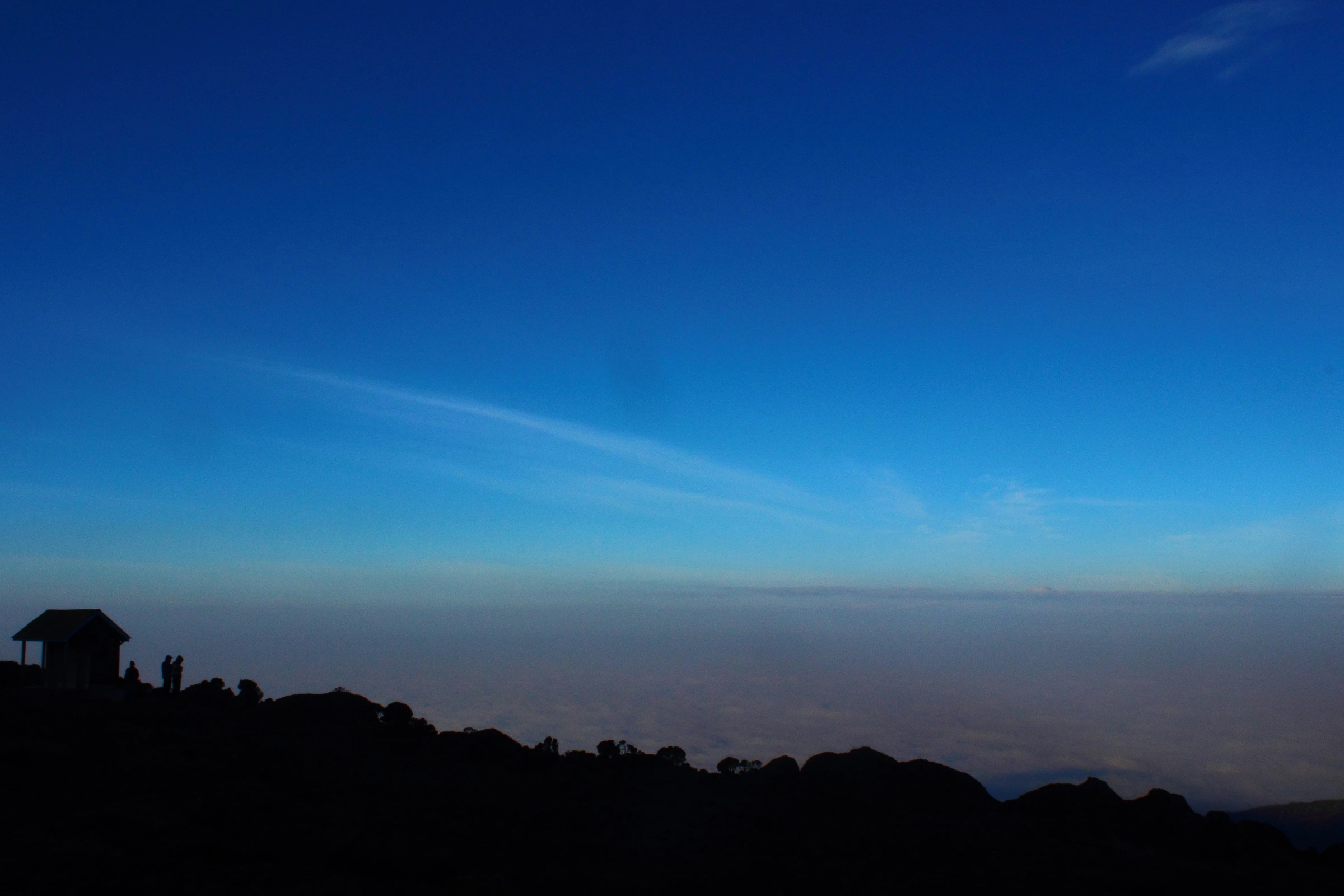 Shira_2_Camp[1].webp